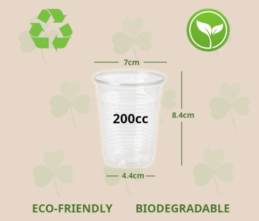 Vaso plástico transparente de polipropileno 200ml/7oz (1000uds) - Imagen 2