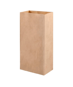 Bolsa kraft