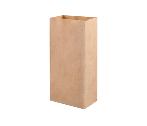 Bolsa kraft
